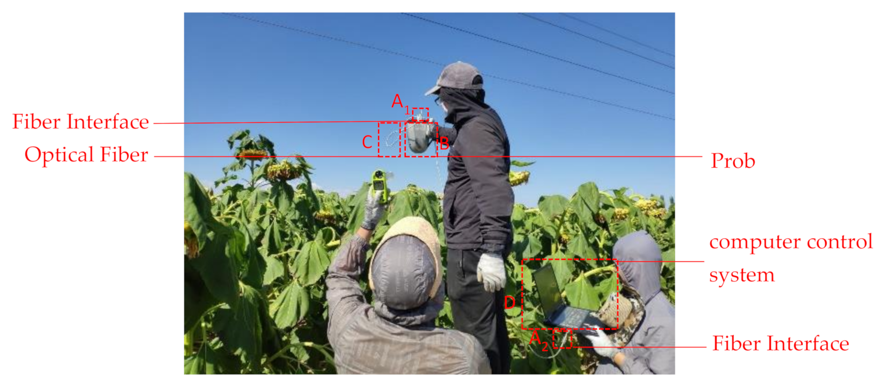 Sensors 21 01994 g004