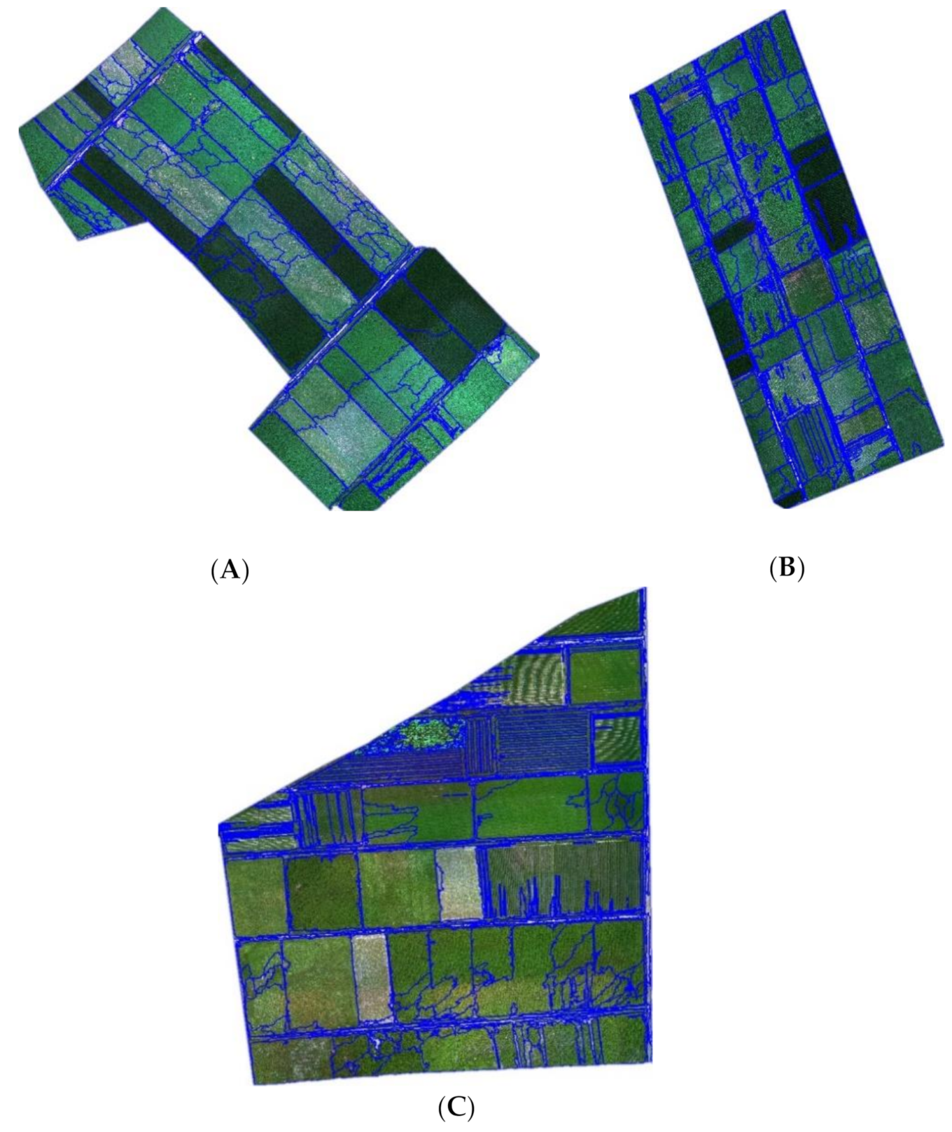Sensors 21 01994 g006