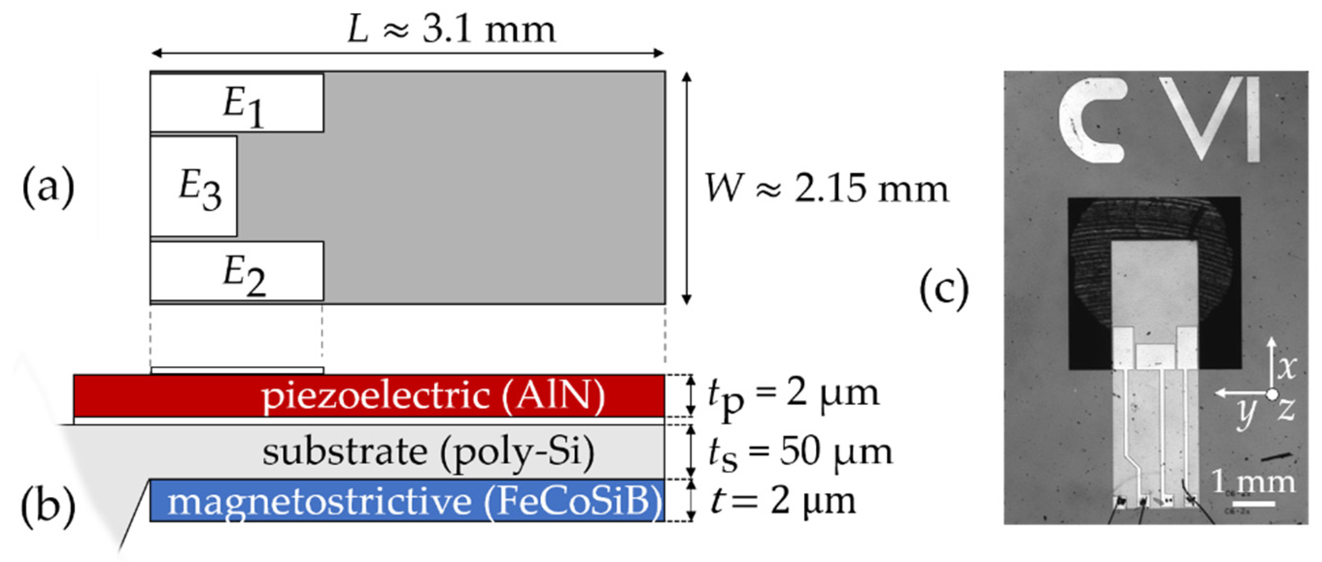 Sensors 21 02022 g001 Sensors 21 02022 g001