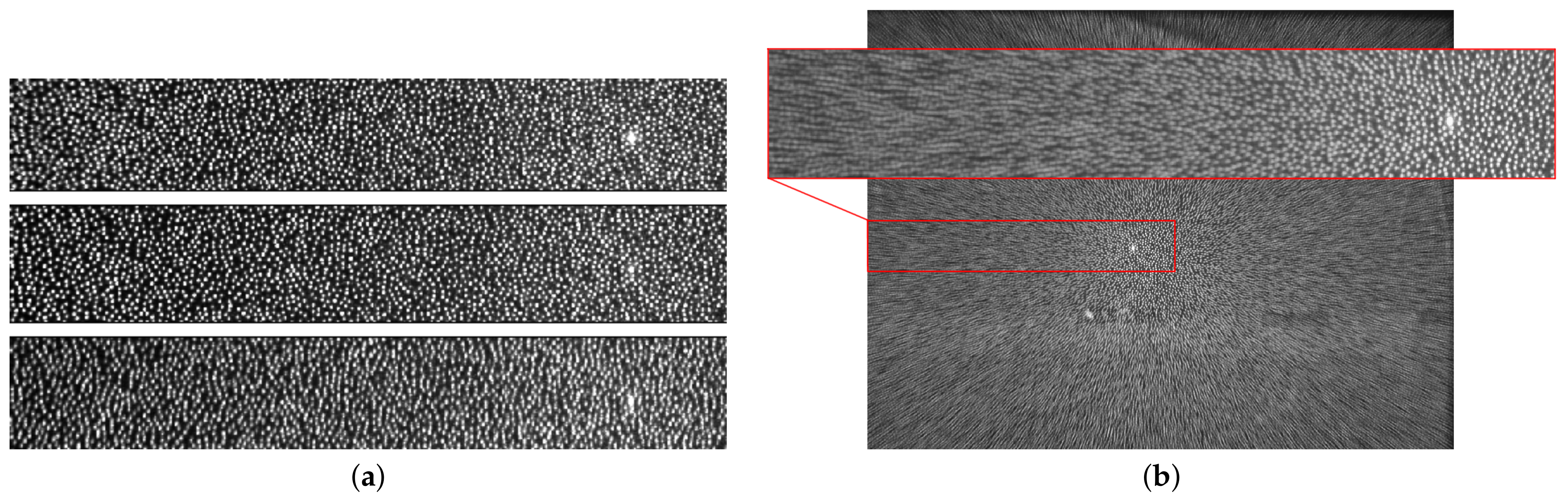 Sensors 21 02073 g002