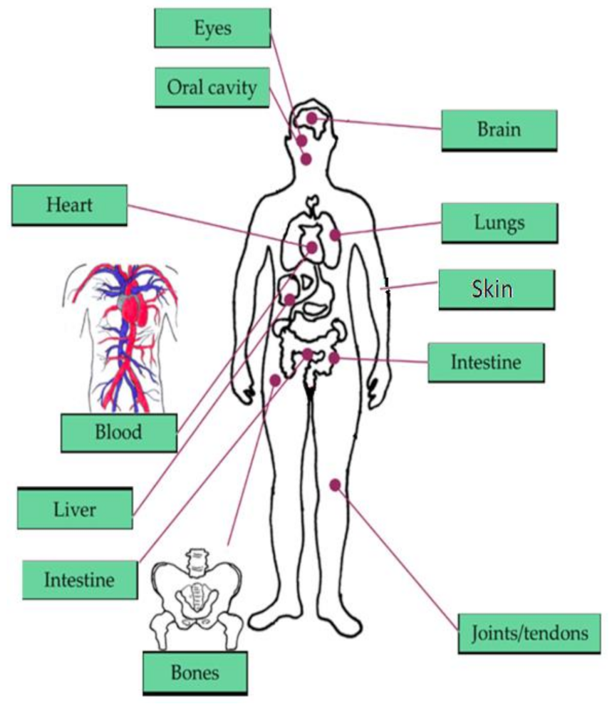 Sensors 21 02098 g001 Sensors 21 02098 g001