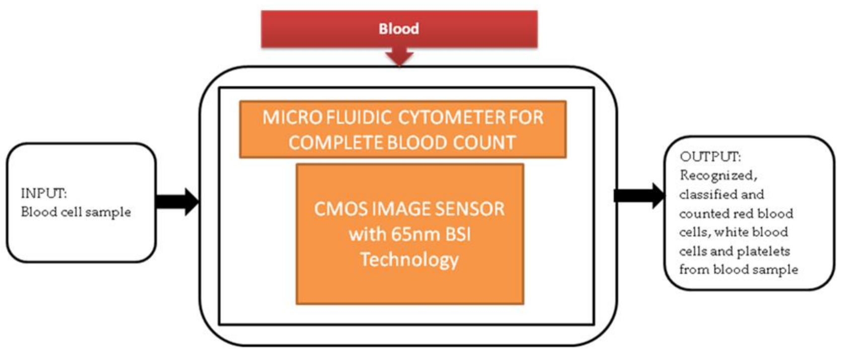 Sensors 21 02098 g006 Sensors 21 02098 g006