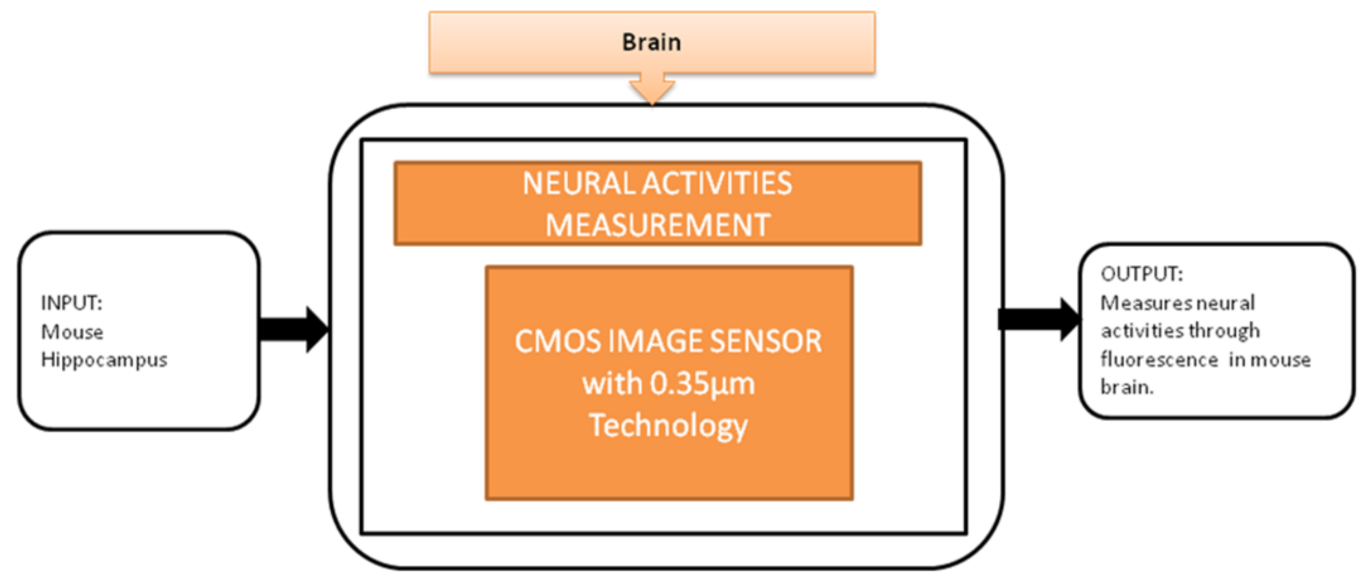 Sensors 21 02098 g018 Sensors 21 02098 g018