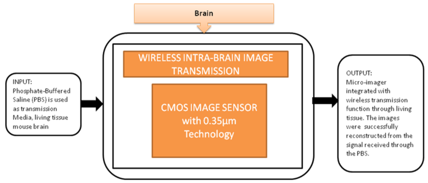 Sensors 21 02098 g019 Sensors 21 02098 g019