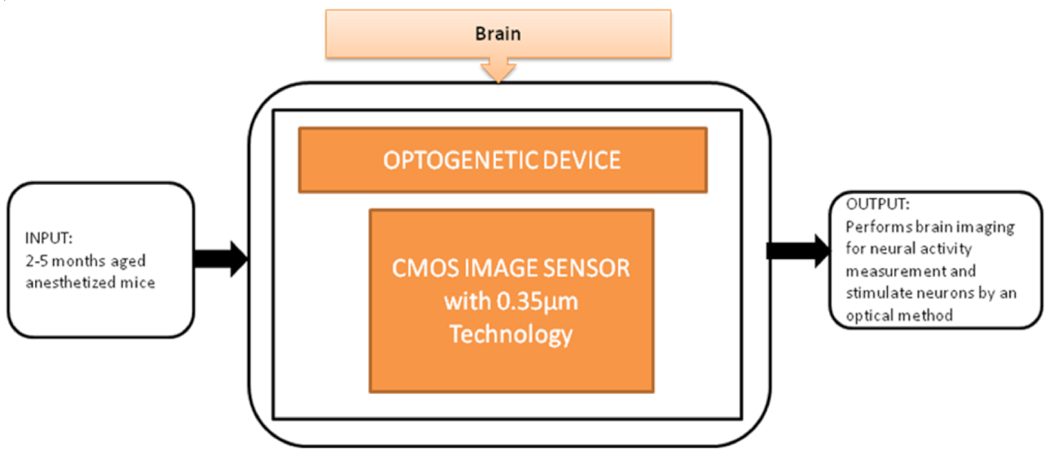 Sensors 21 02098 g020 Sensors 21 02098 g020
