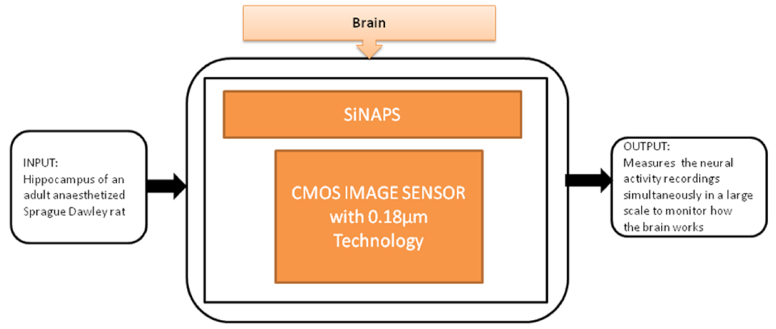 Sensors 21 02098 g021 Sensors 21 02098 g021