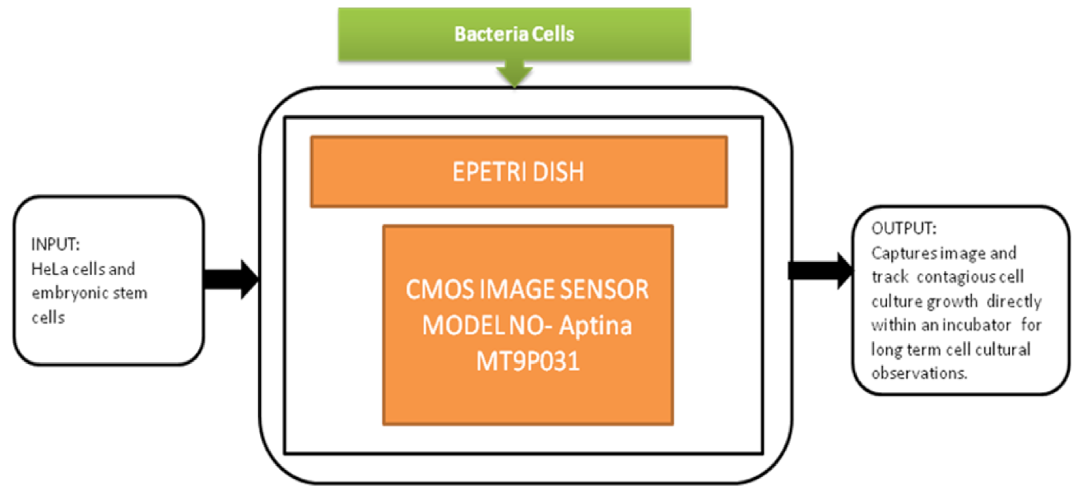 Sensors 21 02098 g040 Sensors 21 02098 g040