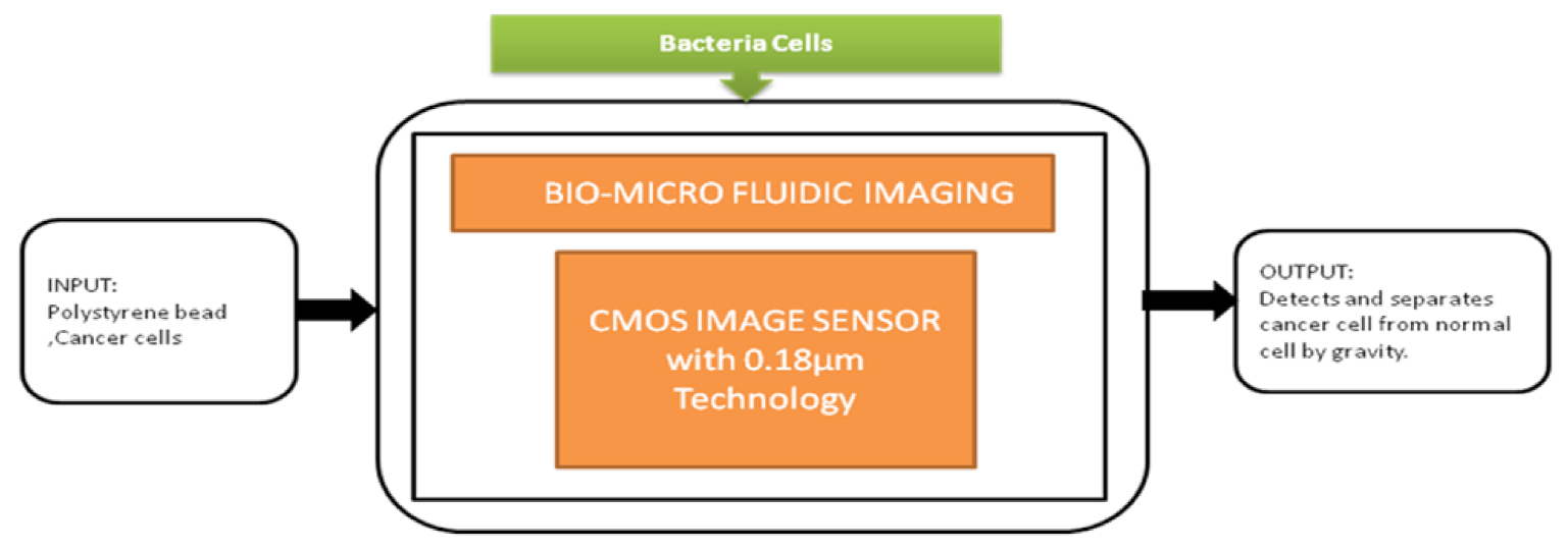 Sensors 21 02098 g041 Sensors 21 02098 g041