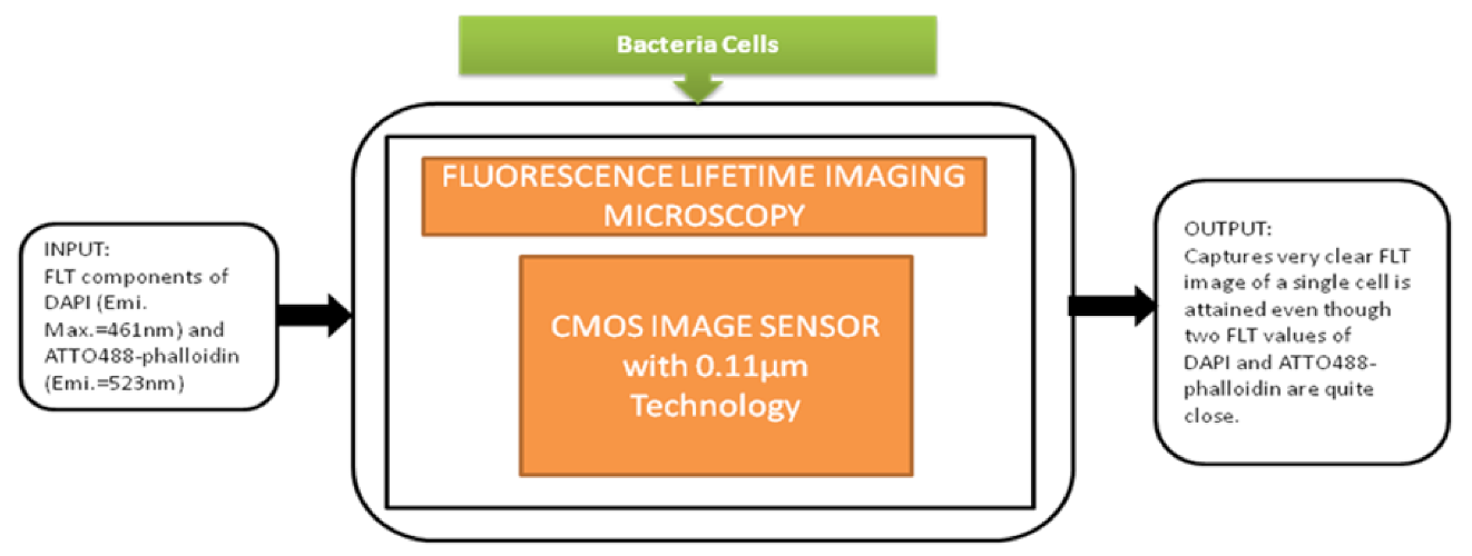 Sensors 21 02098 g043 Sensors 21 02098 g043