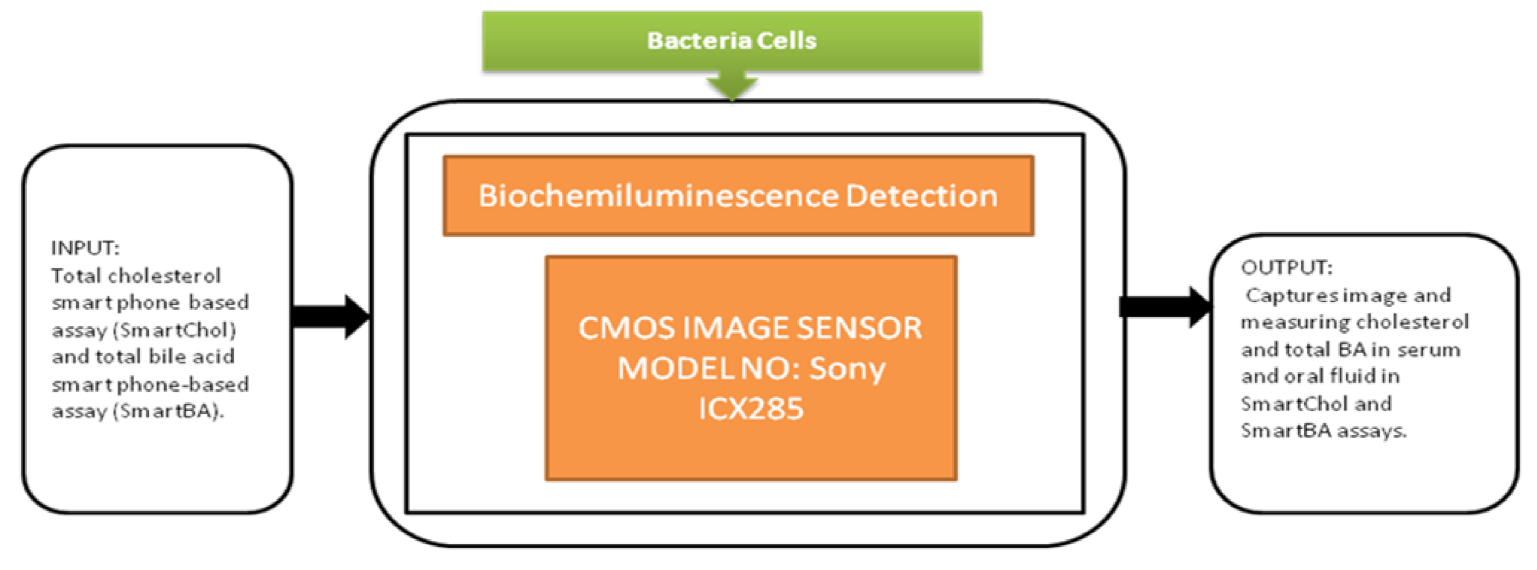 Sensors 21 02098 g046 Sensors 21 02098 g046