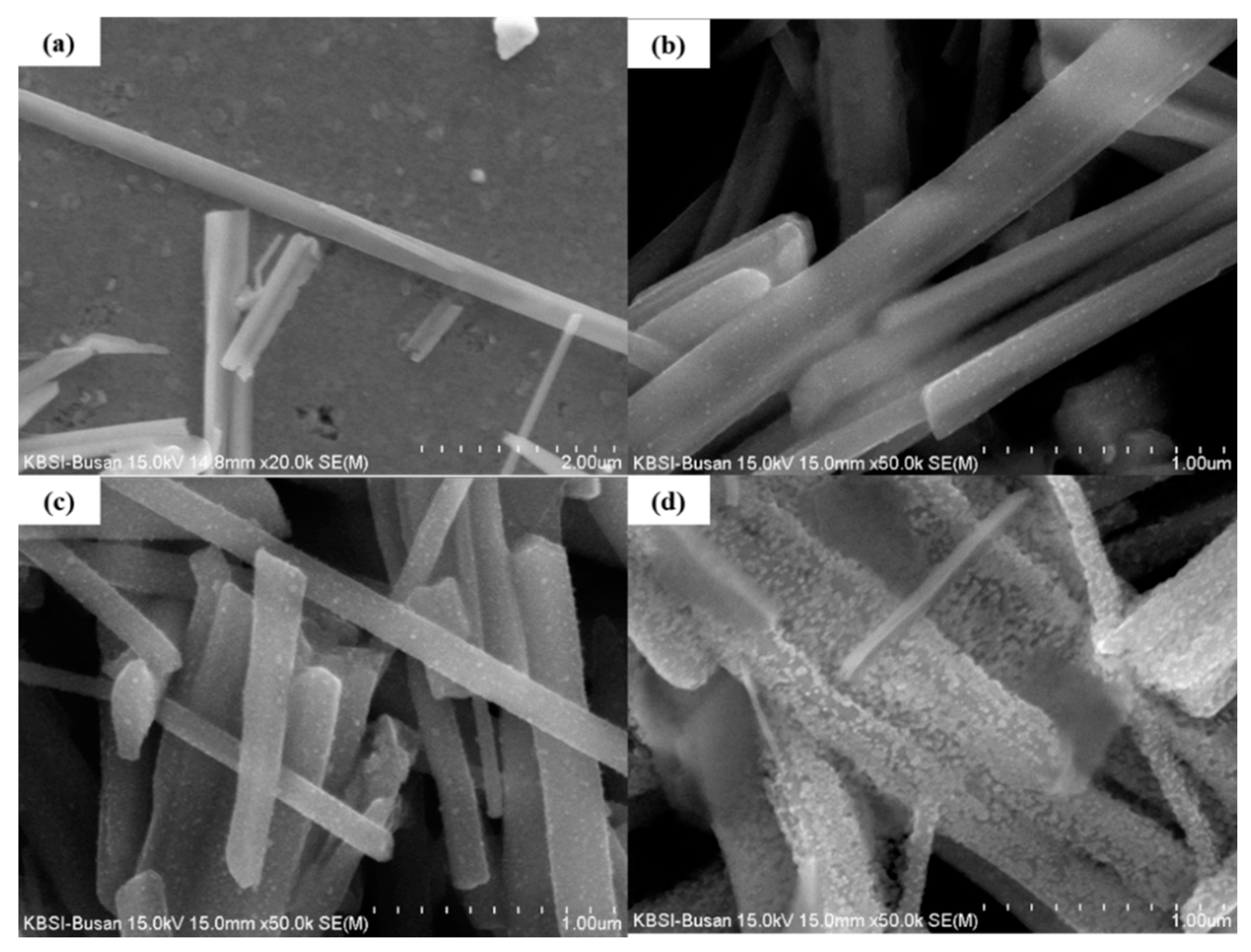 Sensors 21 02103 g001 Sensors 21 02103 g001