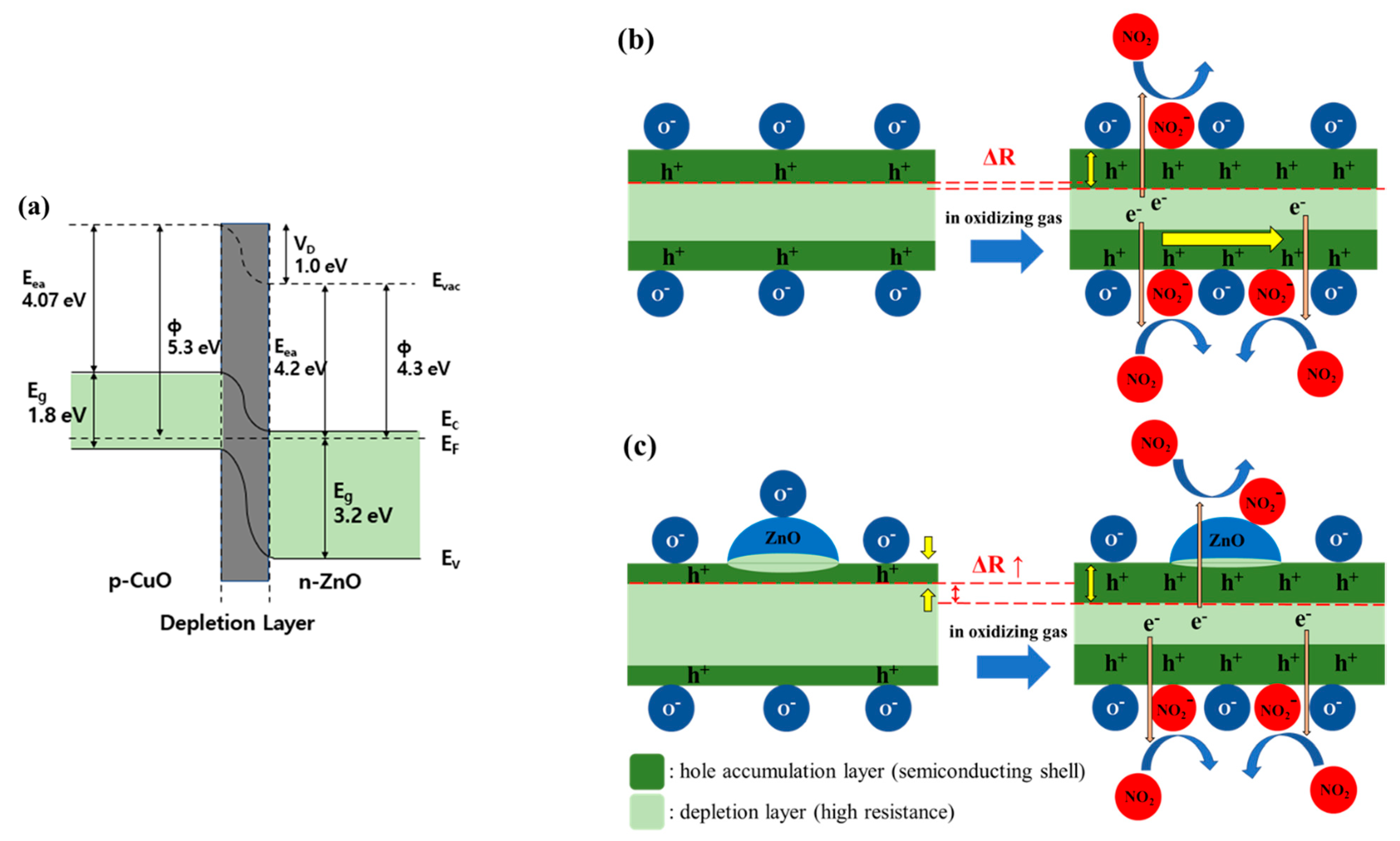Sensors 21 02103 g005 Sensors 21 02103 g005