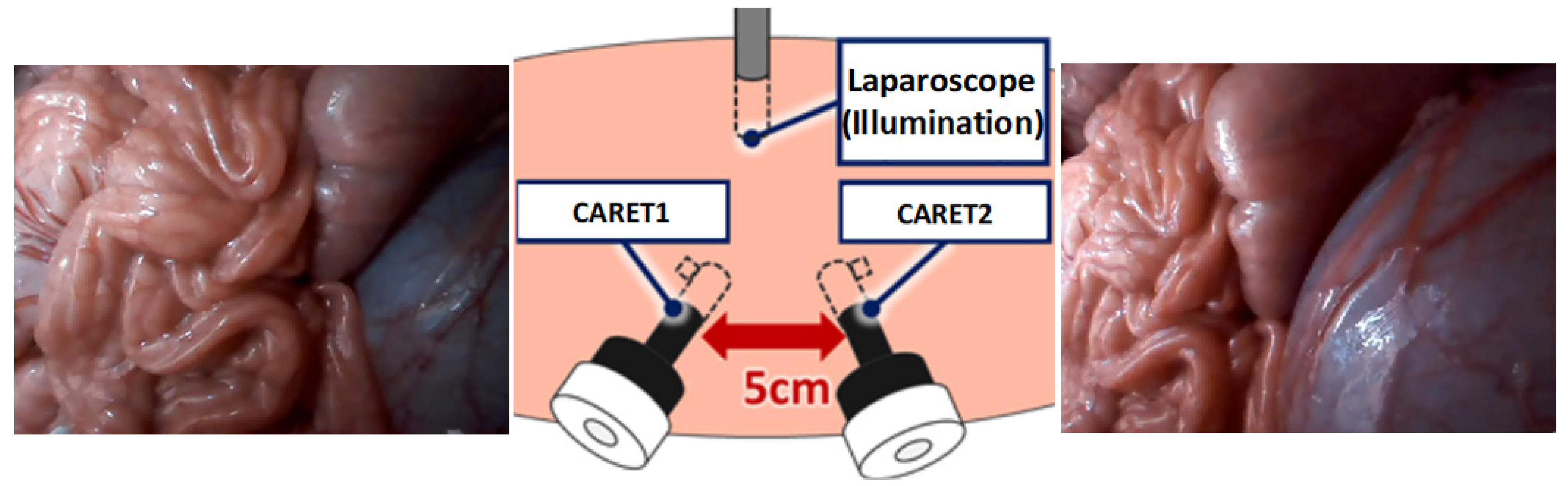 Sensors 21 02106 g016