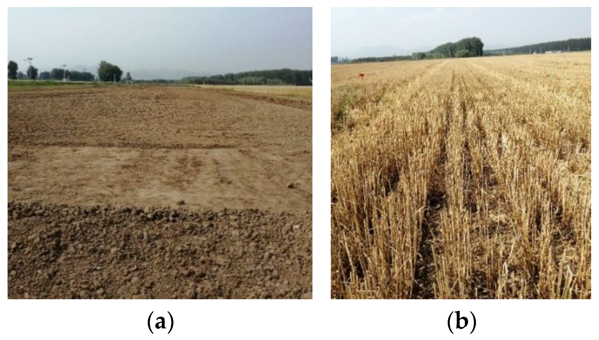 Sensors 21 02107 g005