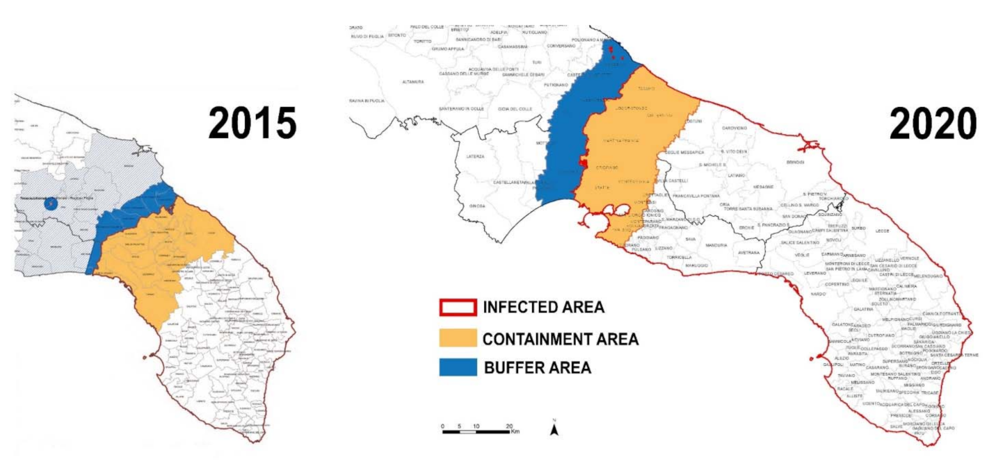 Sensors 21 02129 g001