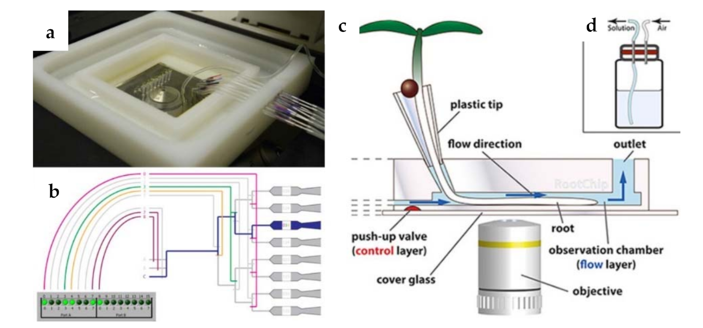 Sensors 21 02129 g006