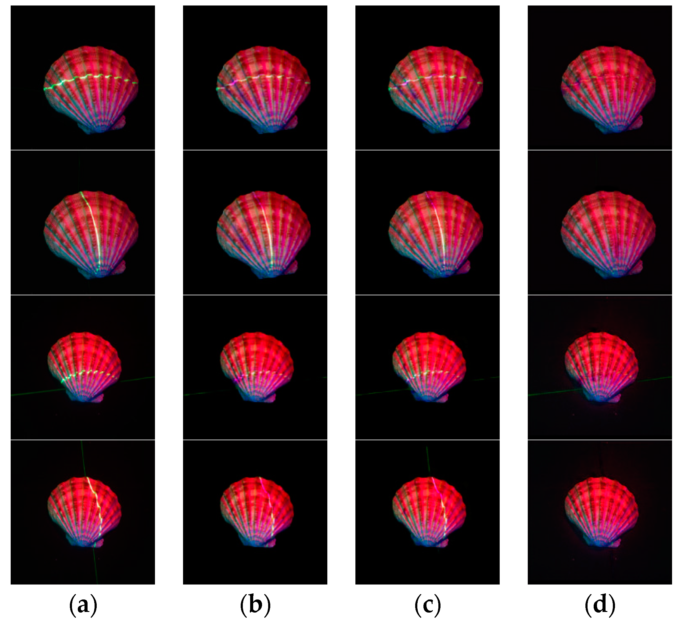 Sensors 21 02131 g011