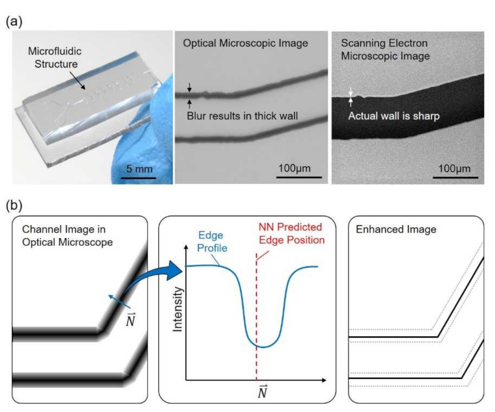Sensors 21 02139 g001