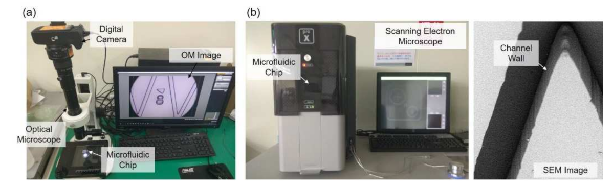 Sensors 21 02139 g003