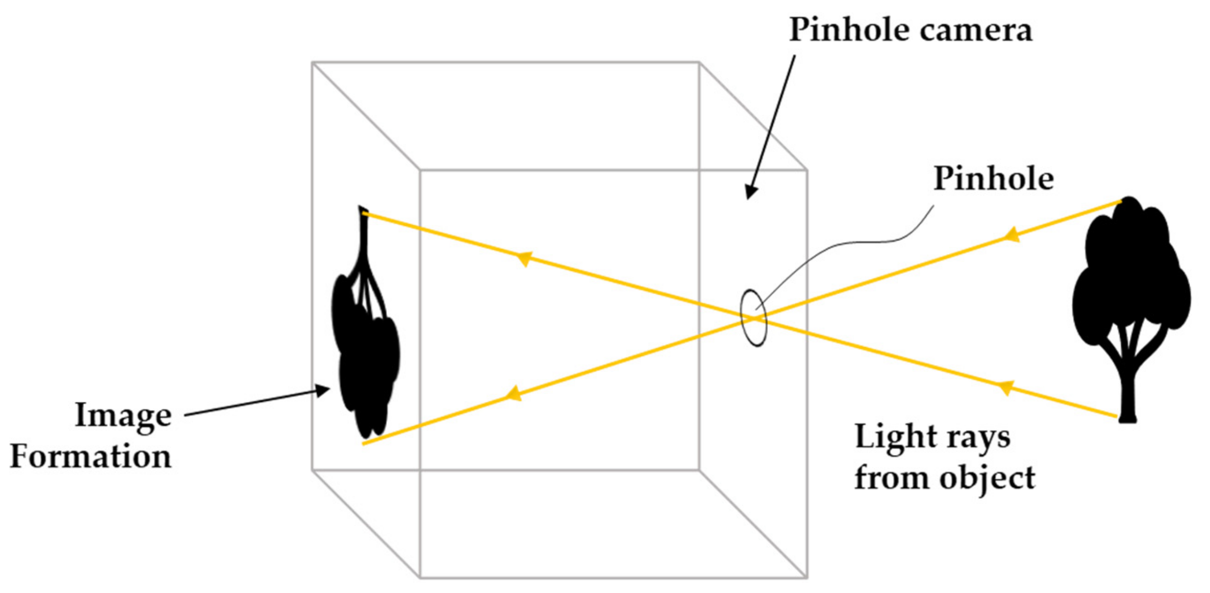 Sensors 21 02140 g006