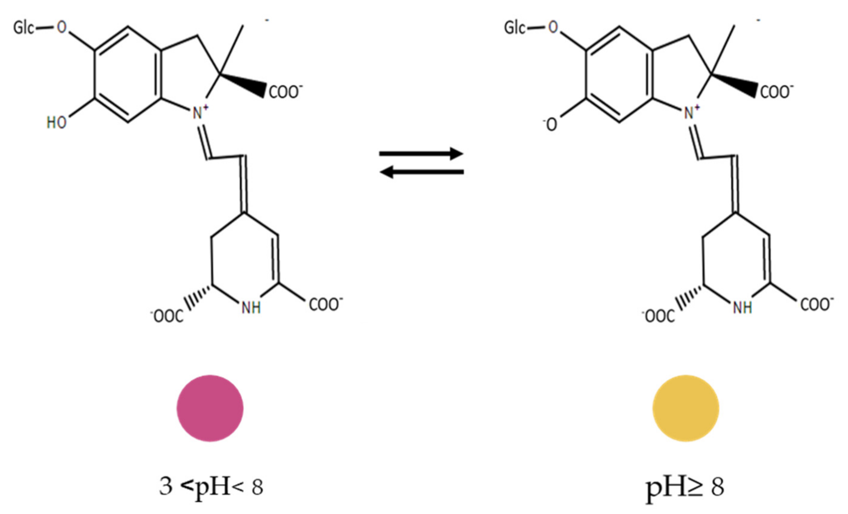 Sensors 21 02148 g003