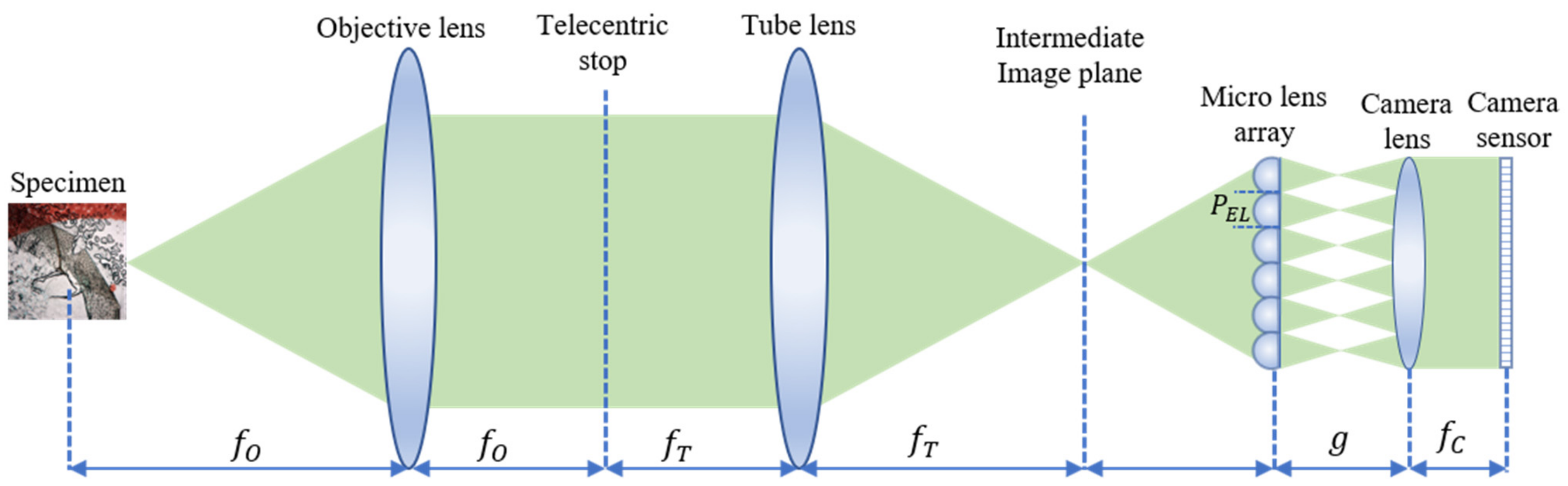 Sensors 21 02164 g001