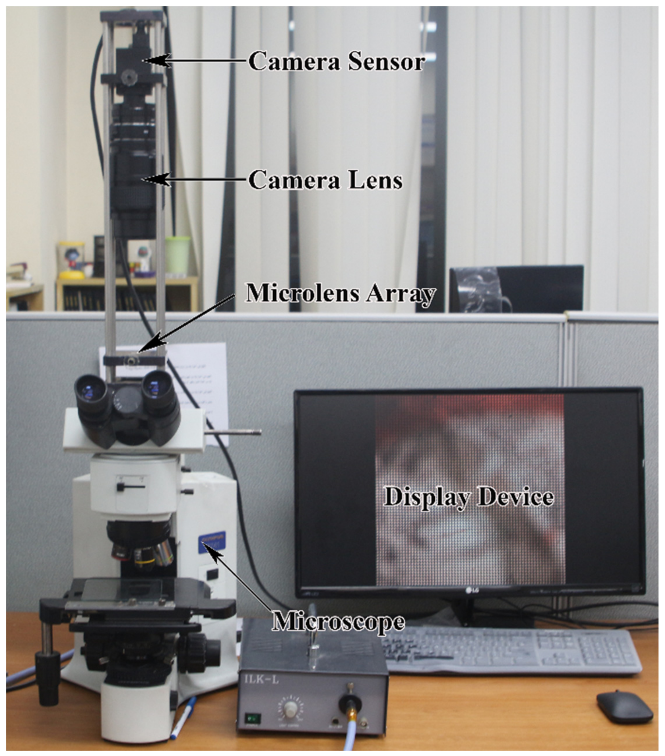 Sensors 21 02164 g006