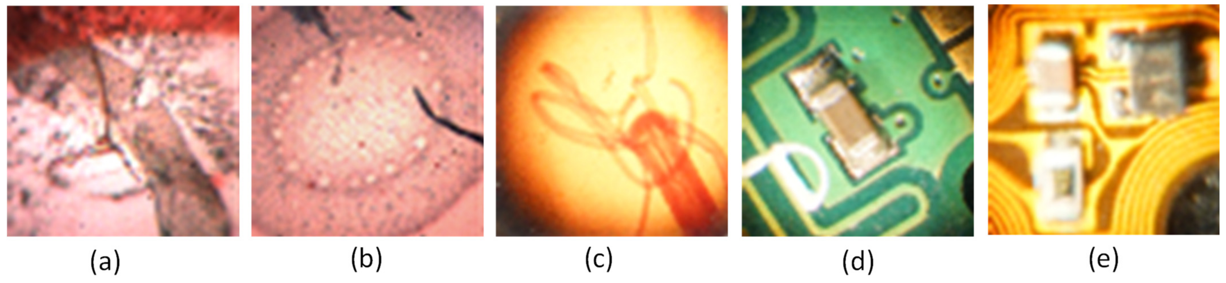 Sensors 21 02164 g007