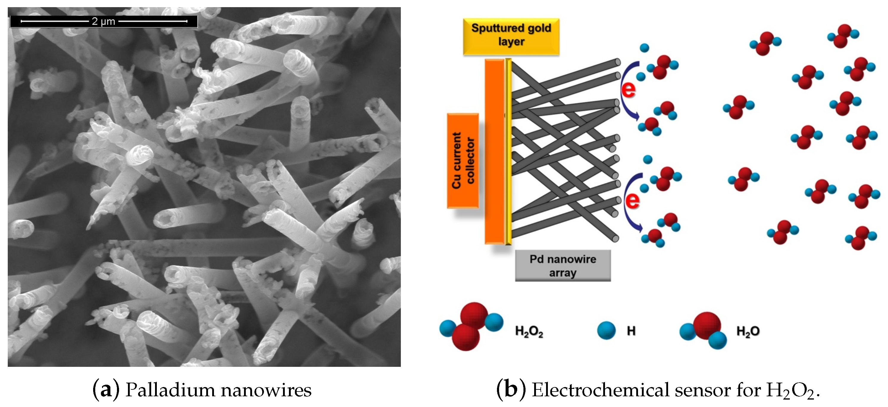 Sensors 21 02204 g001