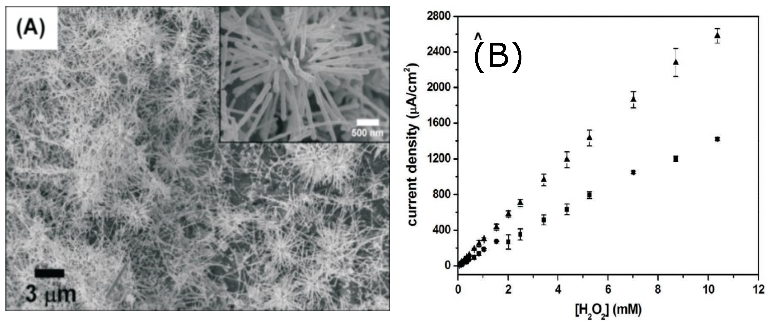 Sensors 21 02204 g004