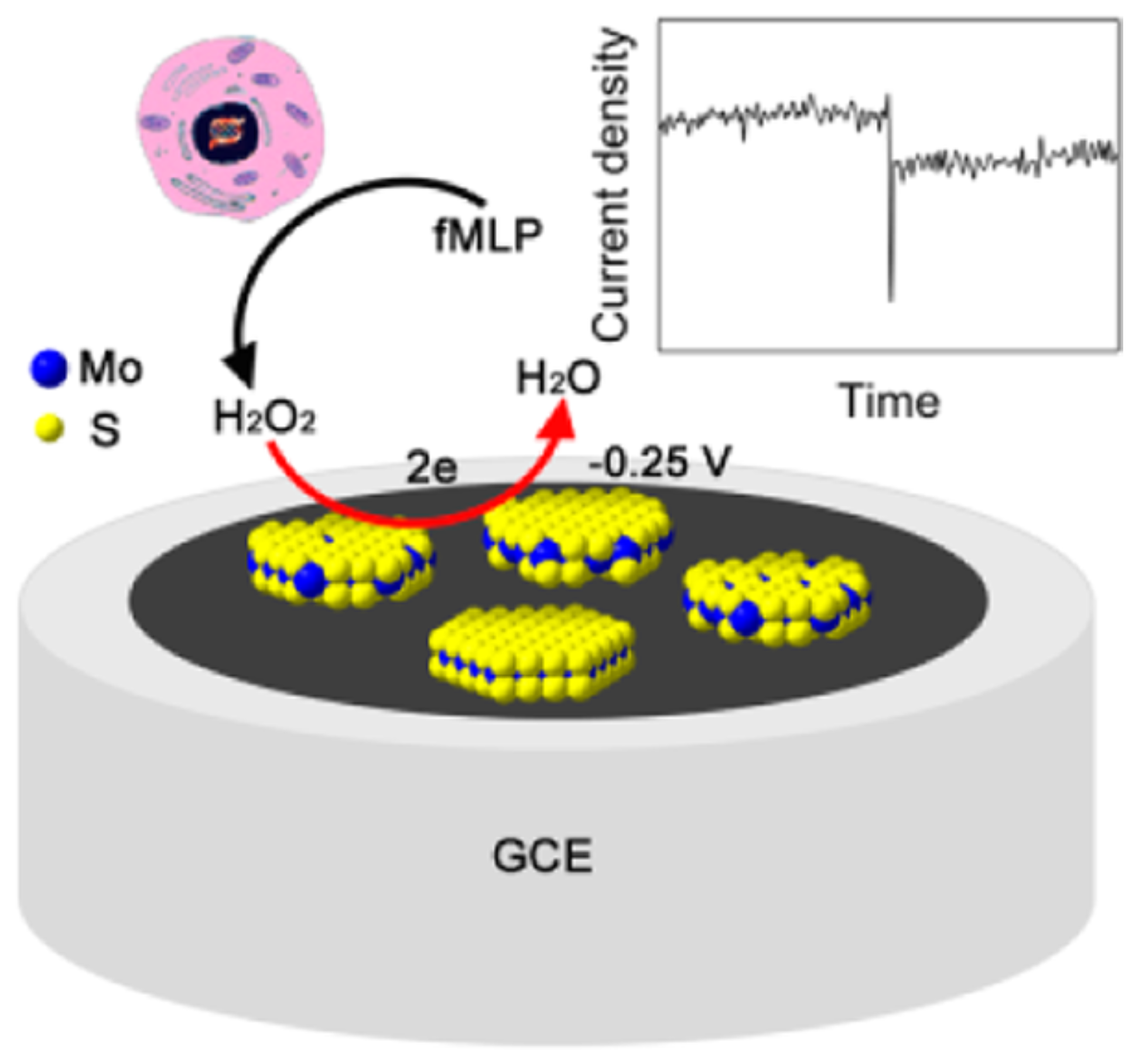 Sensors 21 02204 g009