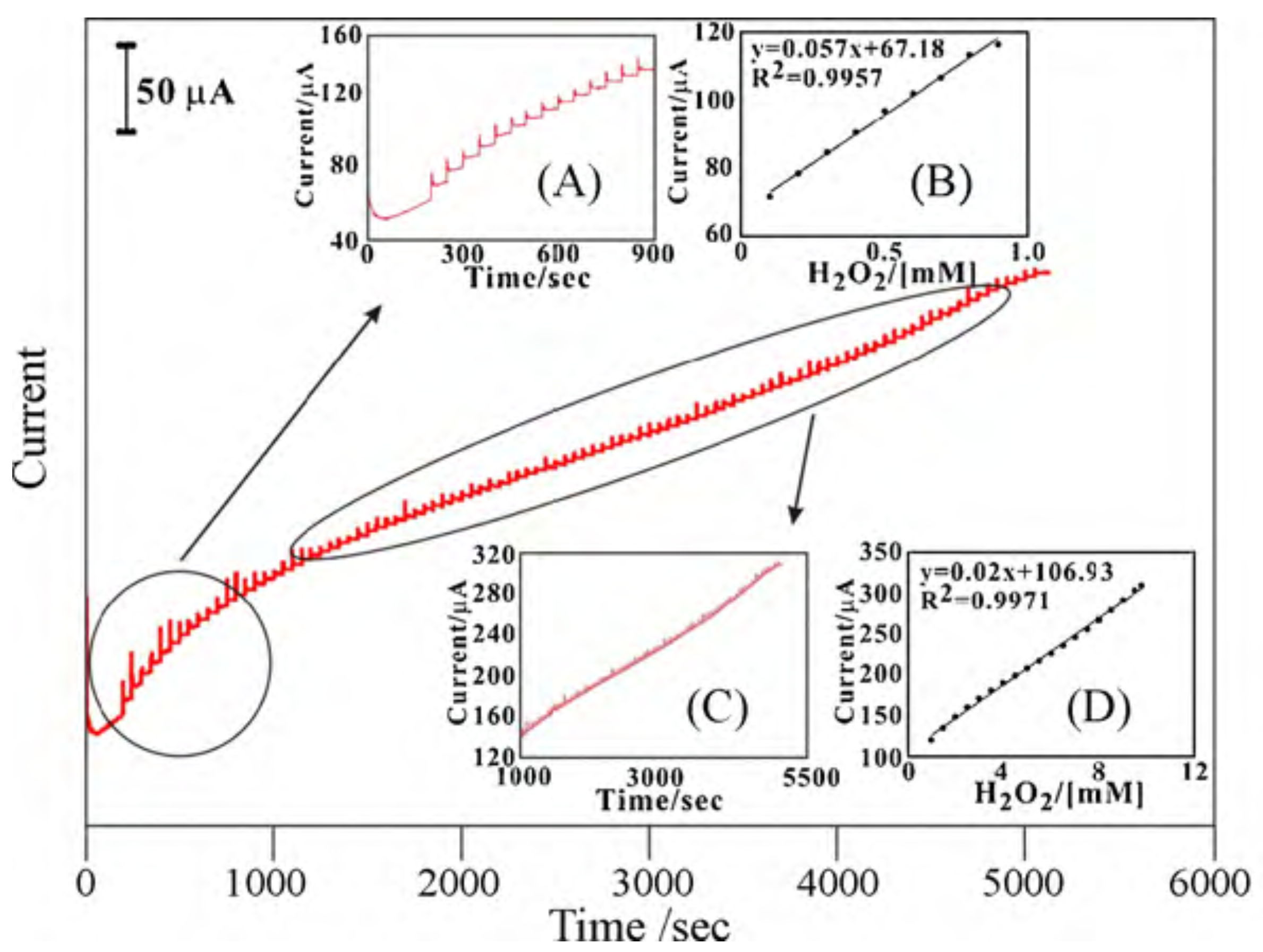 Sensors 21 02204 g011