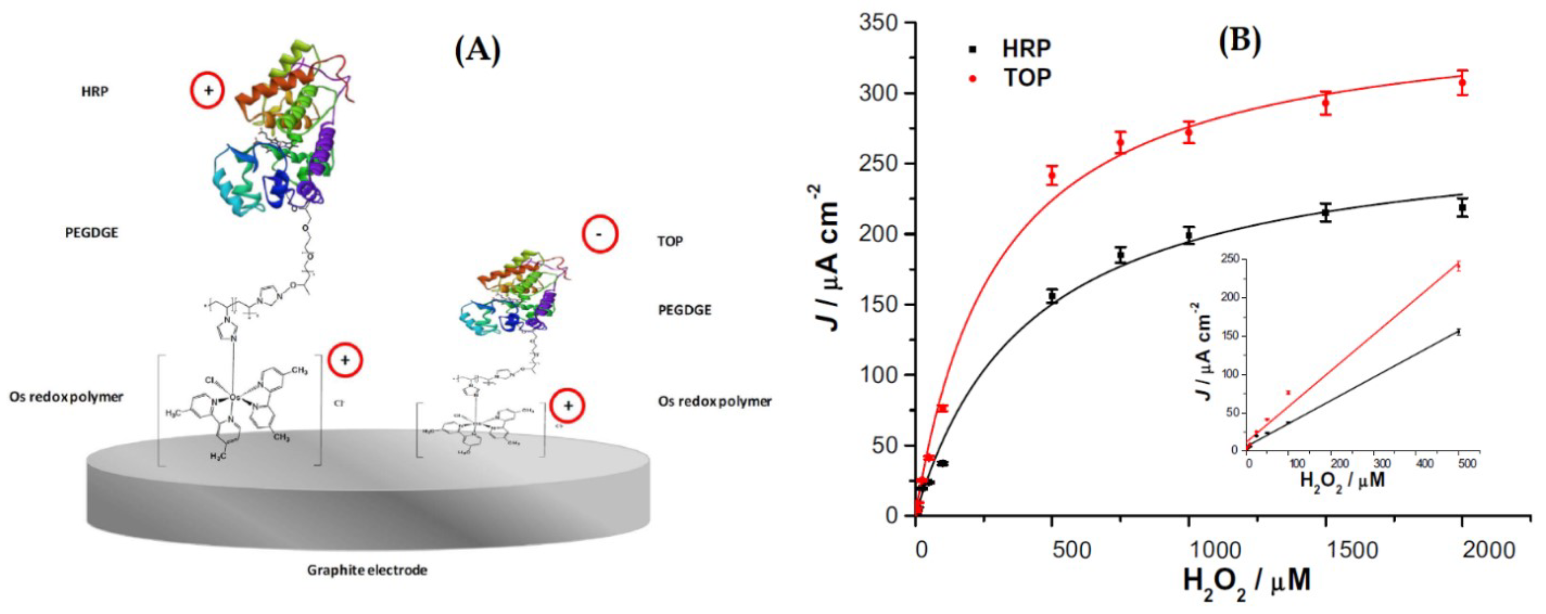 Sensors 21 02204 g014