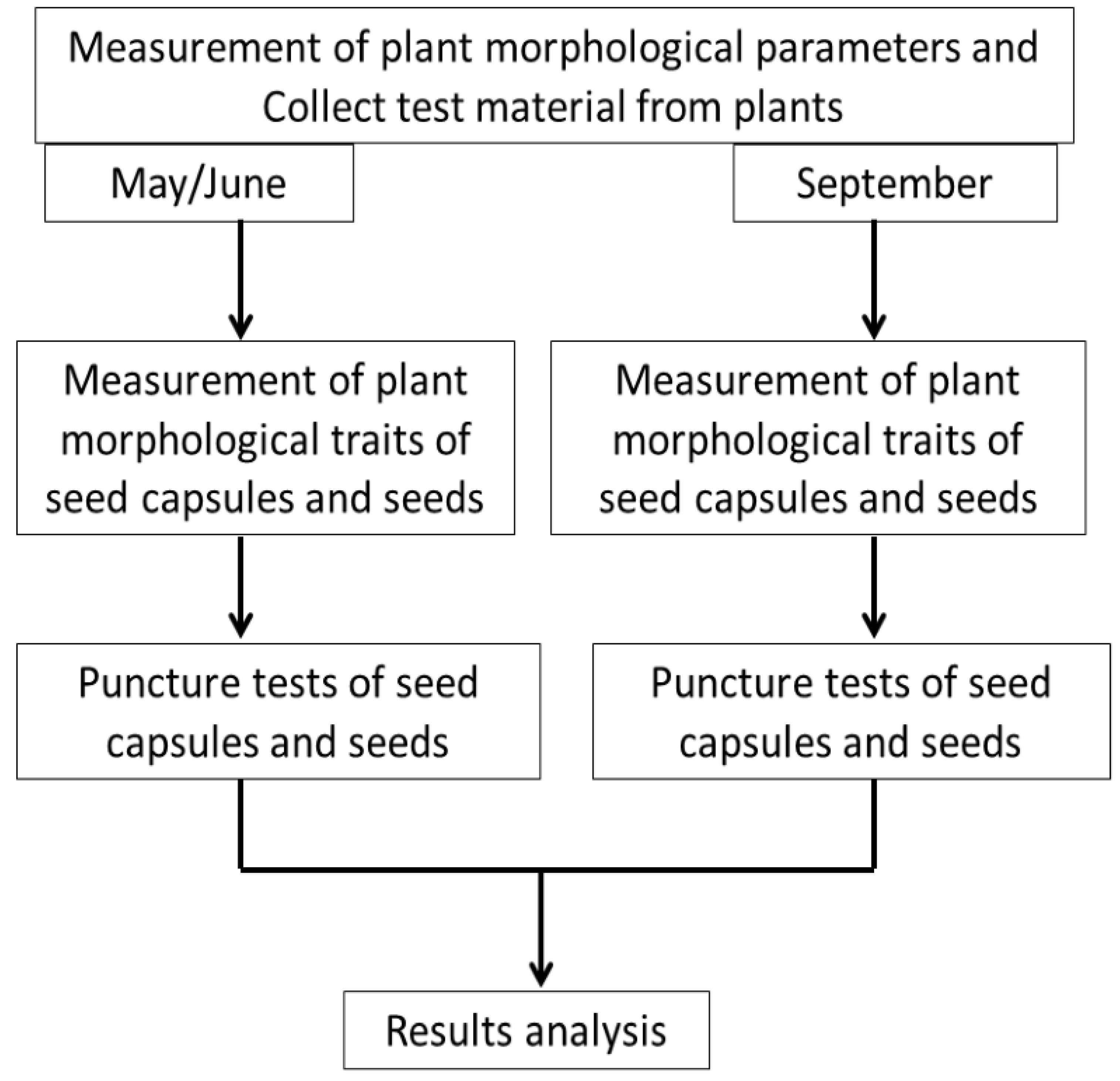 Sensors 21 02209 g001
