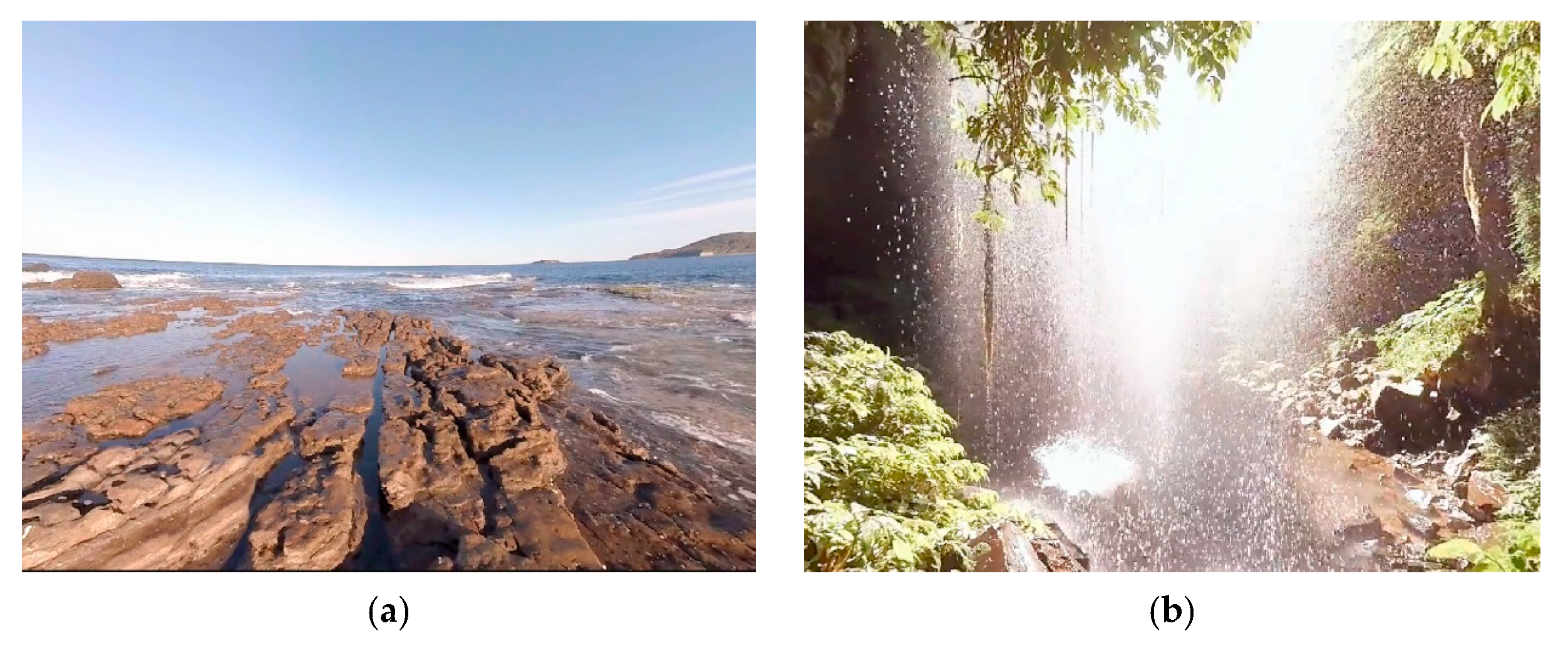 Sensors 21 02219 g002a Sensors 21 02219 g002a