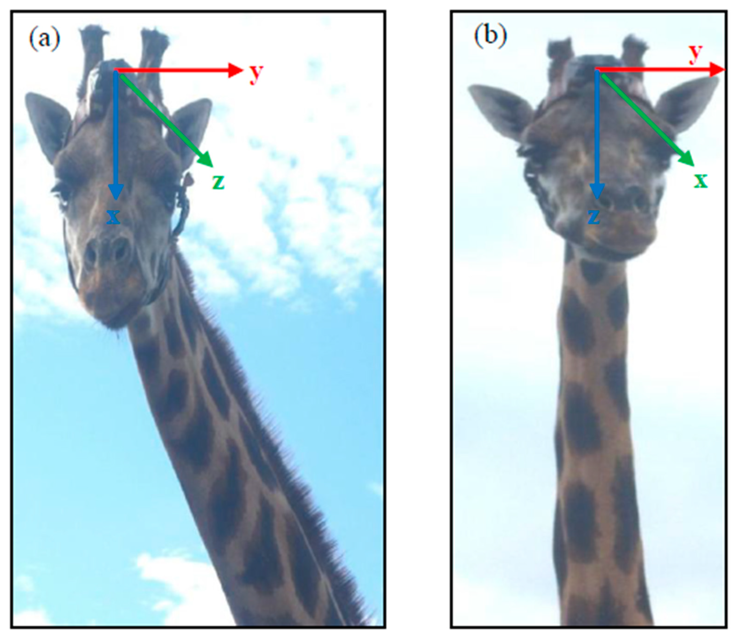 Sensors 21 02229 g001