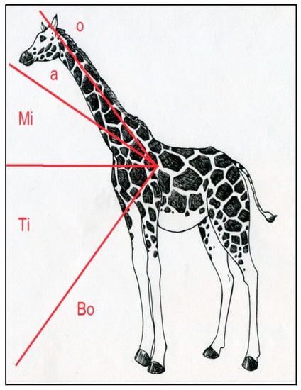 Sensors 21 02229 g0a1