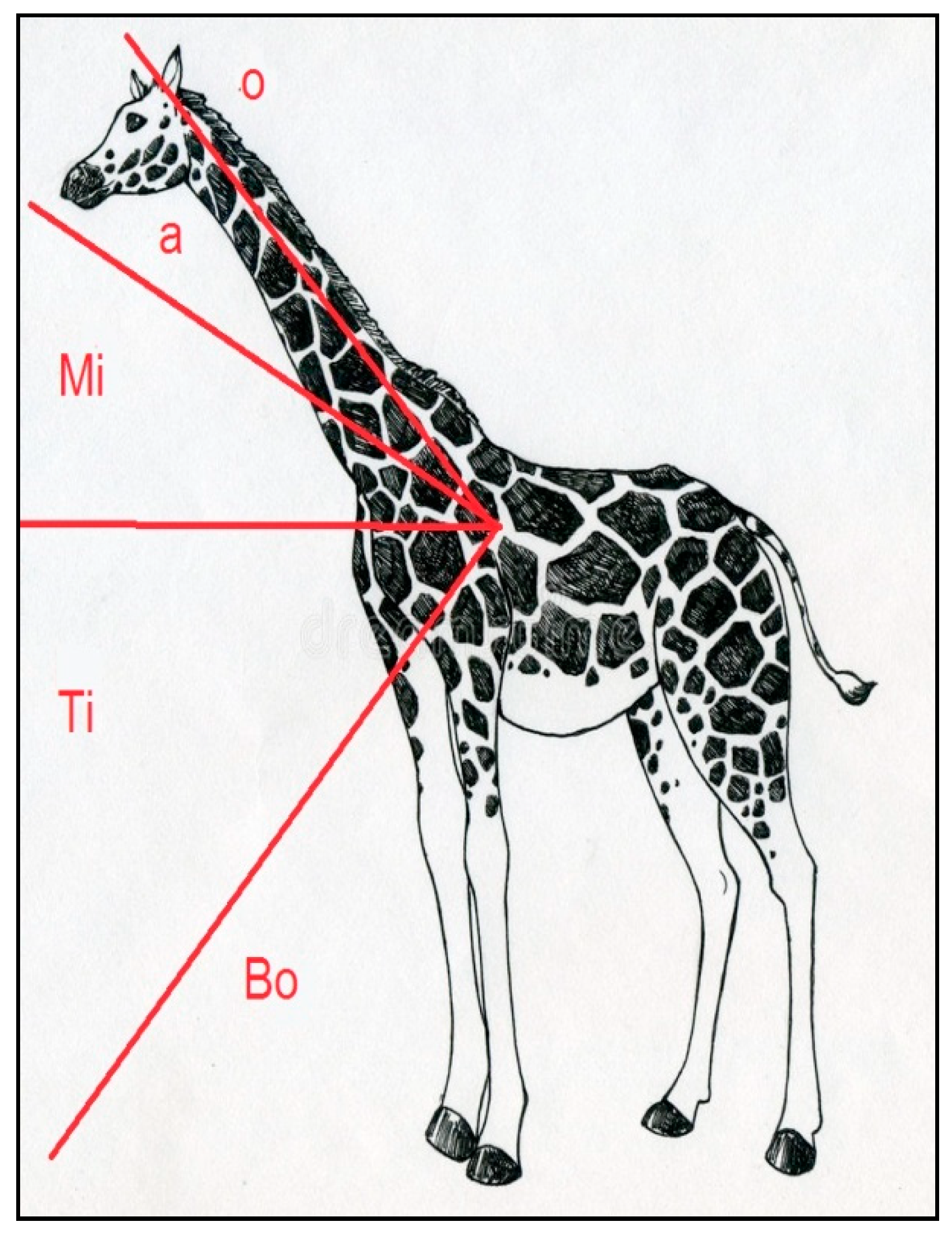 Sensors 21 02229 g0a1