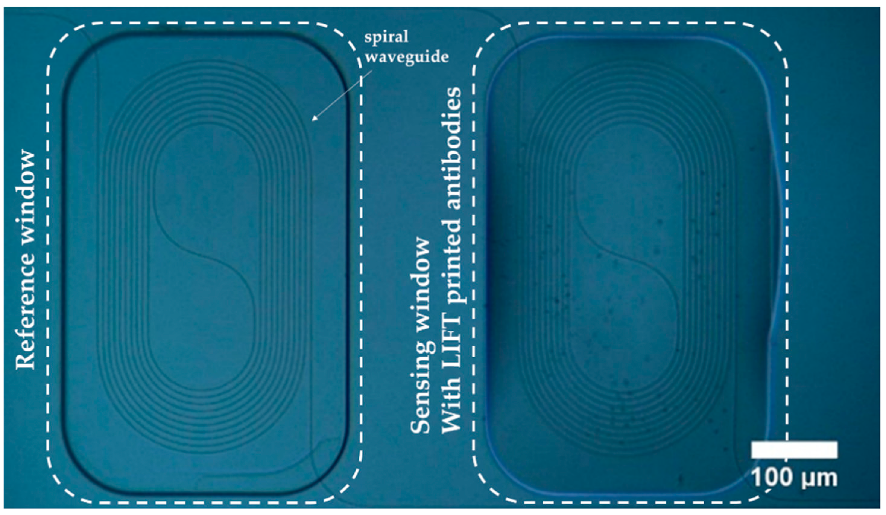 Sensors 21 02230 g003