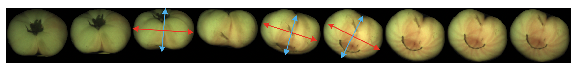 Sensors 21 02232 g009