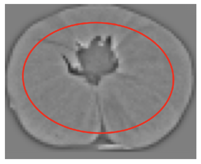 Sensors 21 02232 g018