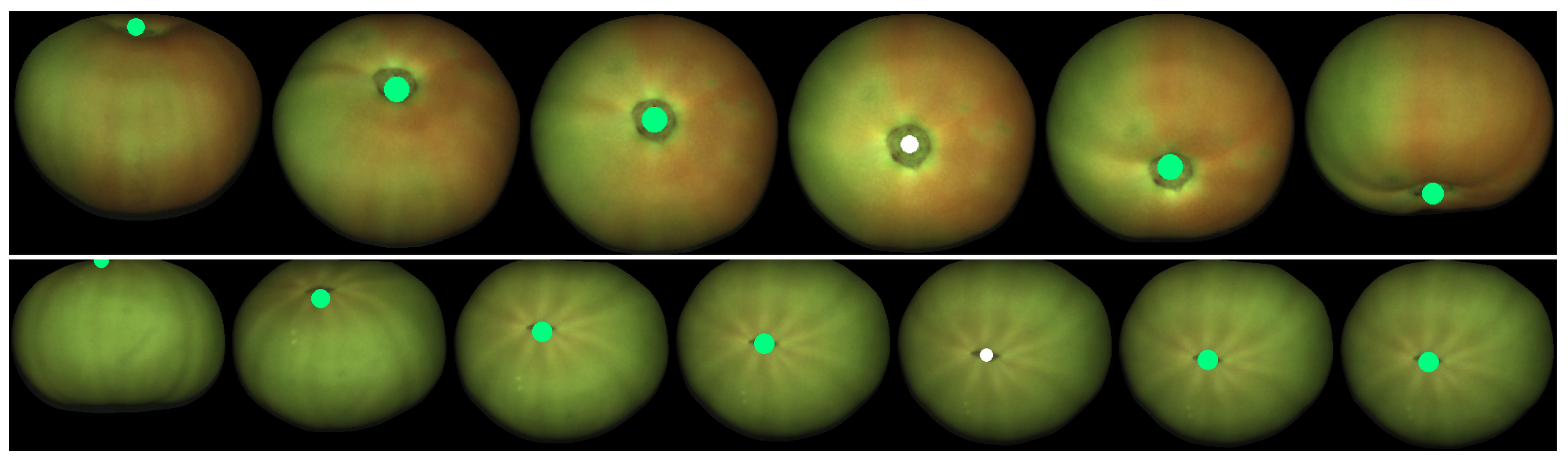 Sensors 21 02232 g025