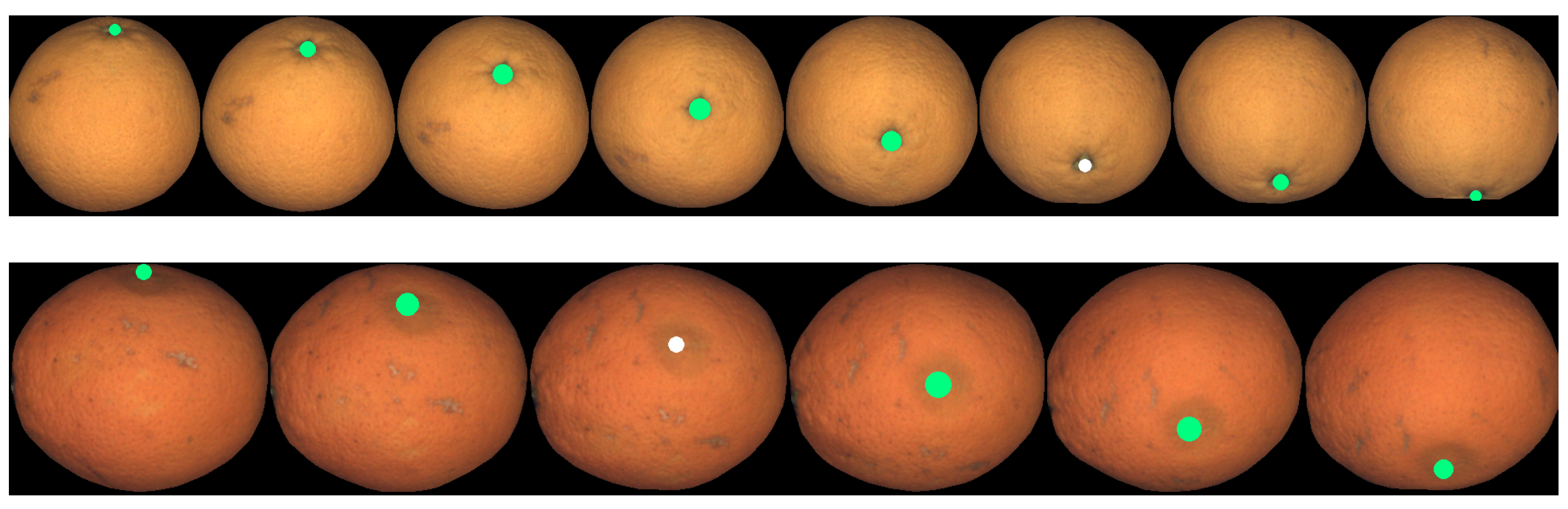 Sensors 21 02232 g026