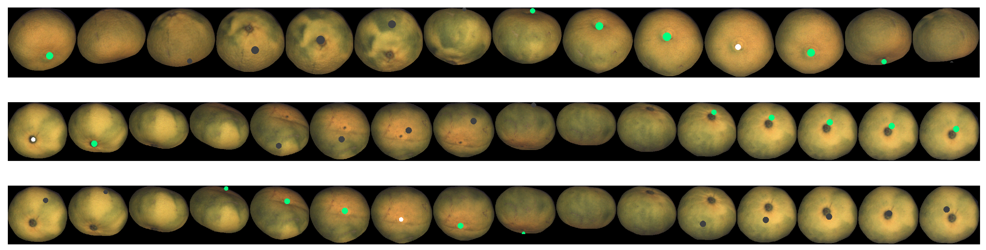 Sensors 21 02232 g027