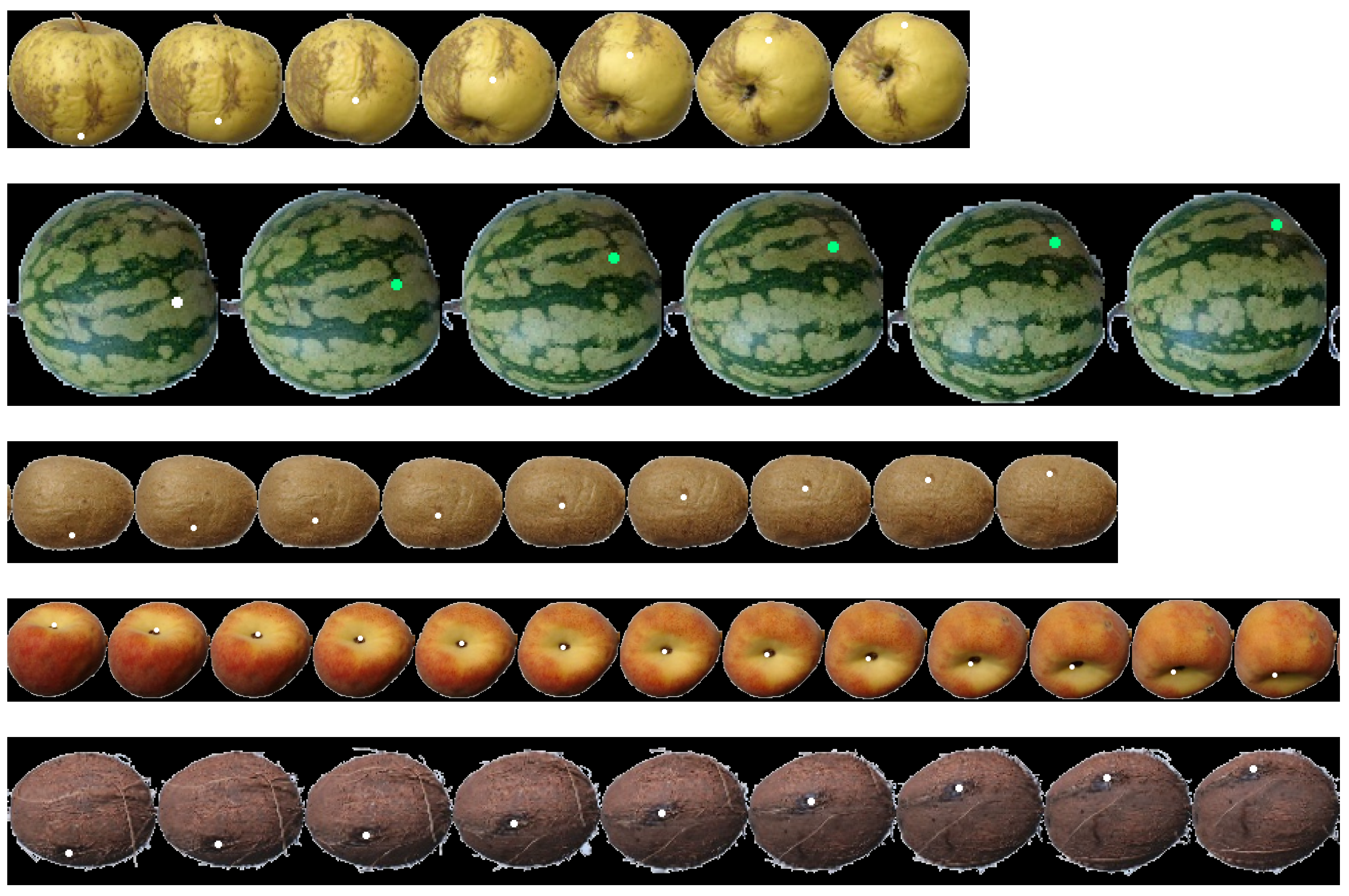 Sensors 21 02232 g028