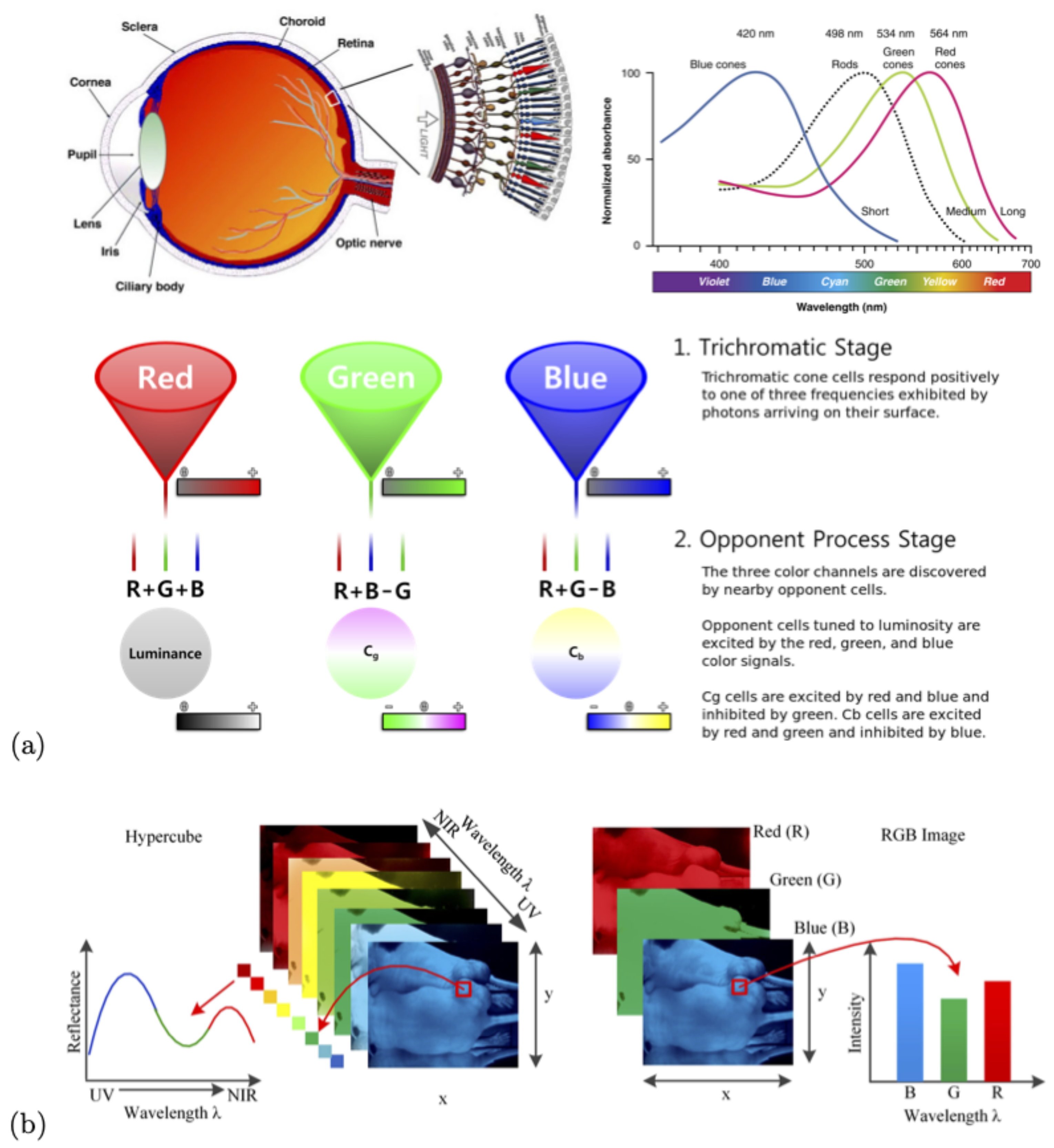 Sensors 21 02240 g002