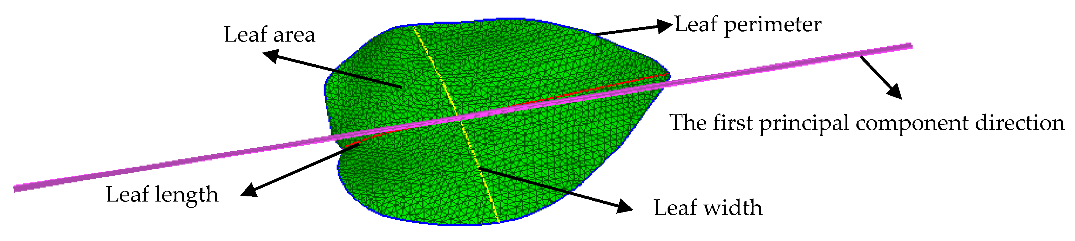 Sensors 21 02247 g003