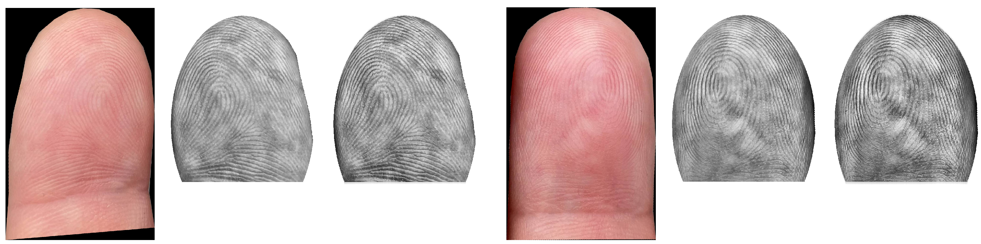 Sensors 21 02248 g007