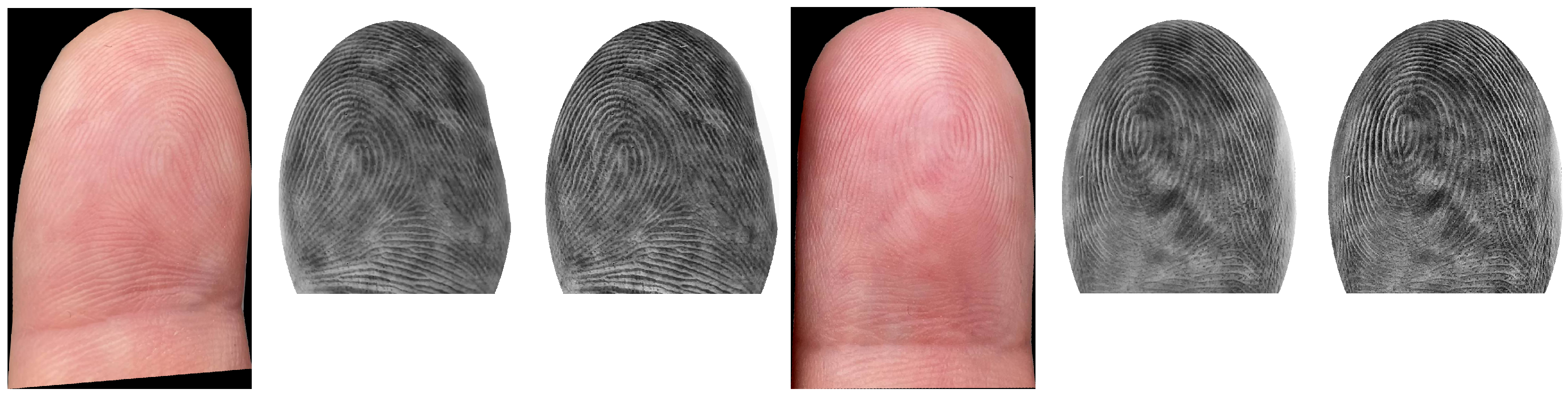 Sensors 21 02248 g008