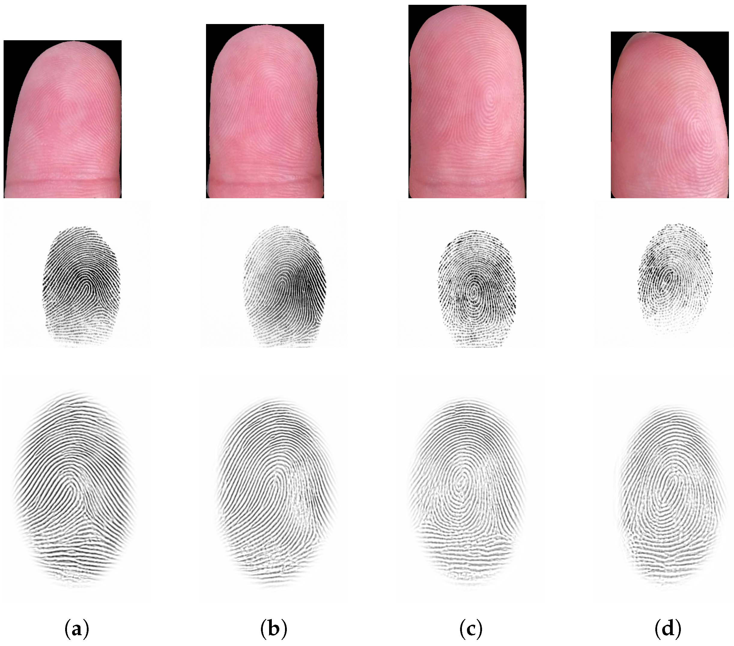 Sensors 21 02248 g012
